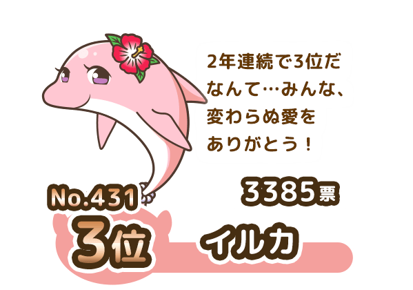 No.431 3位 イルカ 3385票 2年連続で3位だなんて…みんな、変わらぬ愛をありがとう！