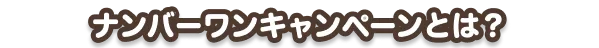 ナンバーワンキャンペーンとは