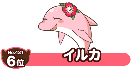 No.431 6位 イルカ